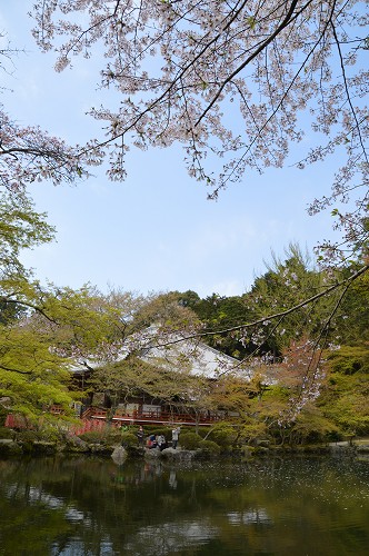 醍醐寺→法界寺→南禅寺_c0124100_2328230.jpg