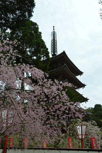 醍醐寺→法界寺→南禅寺_c0124100_23283917.jpg