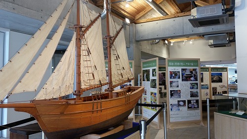 d0050503_539398.jpg
