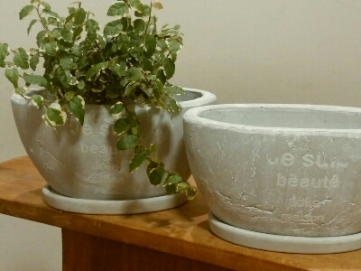 f0255704_2074273.jpg