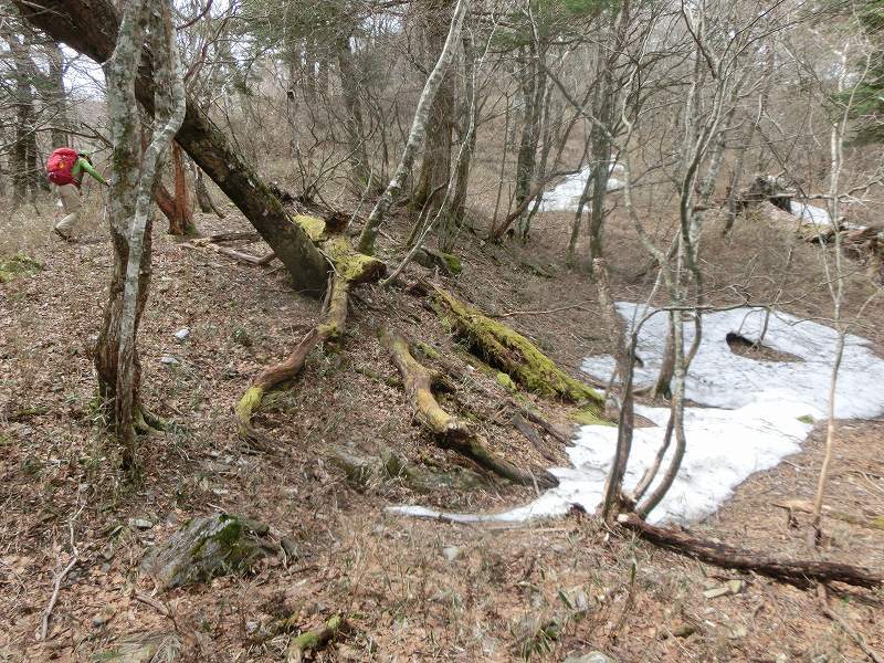 矢筈山～石堂山～白滝山～石堂神社　周遊　　徳島県_b0124306_23035281.jpg