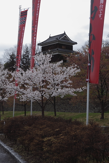 桜_a0251508_22325371.jpg