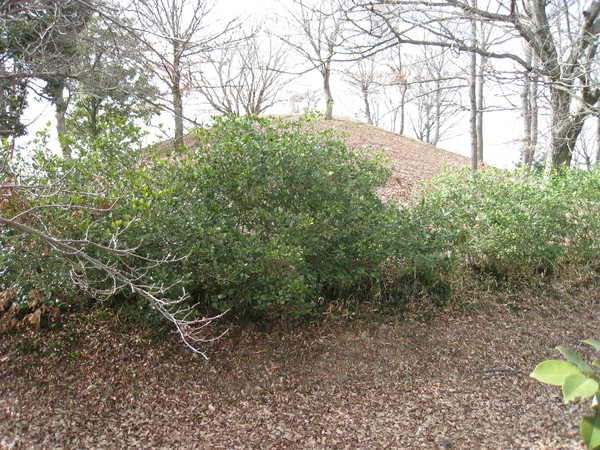d0287413_994971.jpg