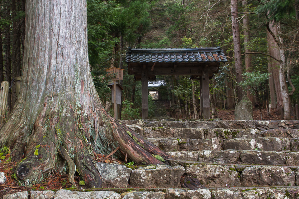 常照皇寺_b0010915_2193968.jpg