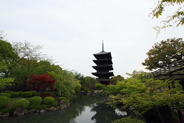 東寺 －五重塔（前編）－_b0169330_083588.jpg