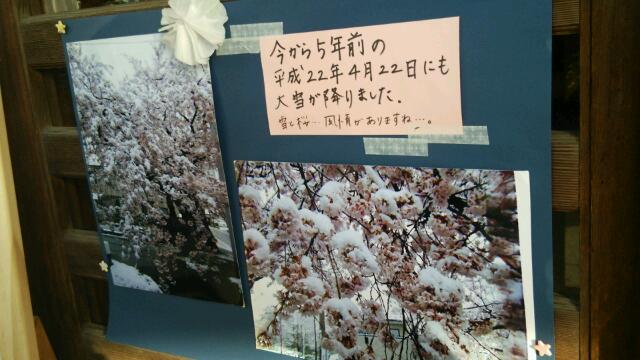 白河市内、桜が満開！_c0213830_143146100.jpg