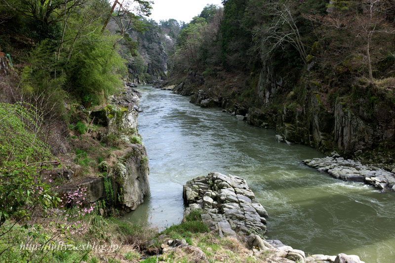 d0108132_2323477.jpg