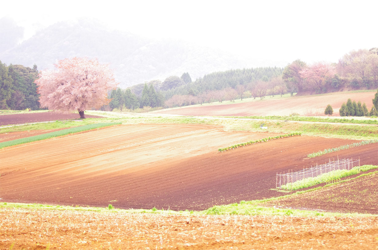 南部町／春の風景_f0227938_1349836.jpg