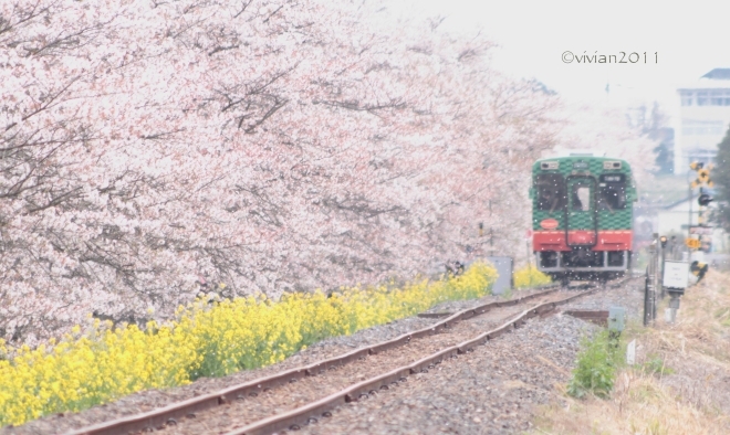 市貝町　多田羅駅～多田羅沼の写真撮影会_e0227942_21562033.jpg