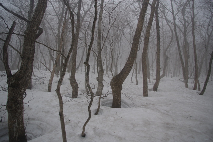 c0077847_2102695.jpg