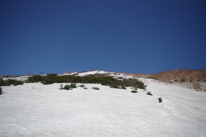 4月12日　岩手山（馬返し登山口）　山スキー登山　まとめ_c0077847_21224025.jpg