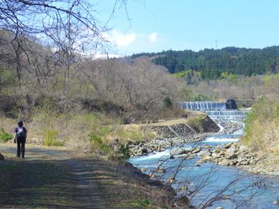 福島ﾂｰﾃﾞﾏｰﾁ　荒川桜つづみ・霞堤ｺｰｽ　31km_b0220251_625301.jpg