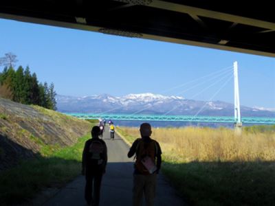 福島ﾂｰﾃﾞﾏｰﾁ　荒川桜つづみ・霞堤ｺｰｽ　31km_b0220251_8462627.jpg