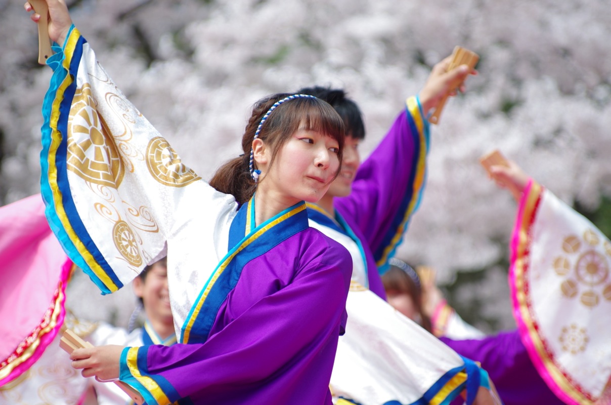 京都さくらよさこい２０１５一日目その３（同志社大学よさこいサークル「よさ朗」その２）_a0009554_22453931.jpg