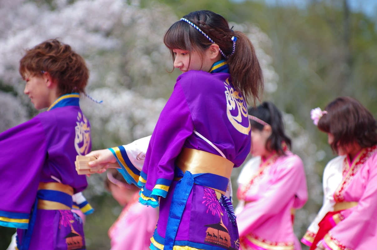 京都さくらよさこい２０１５一日目その３（同志社大学よさこいサークル「よさ朗」その２）_a0009554_22472036.jpg