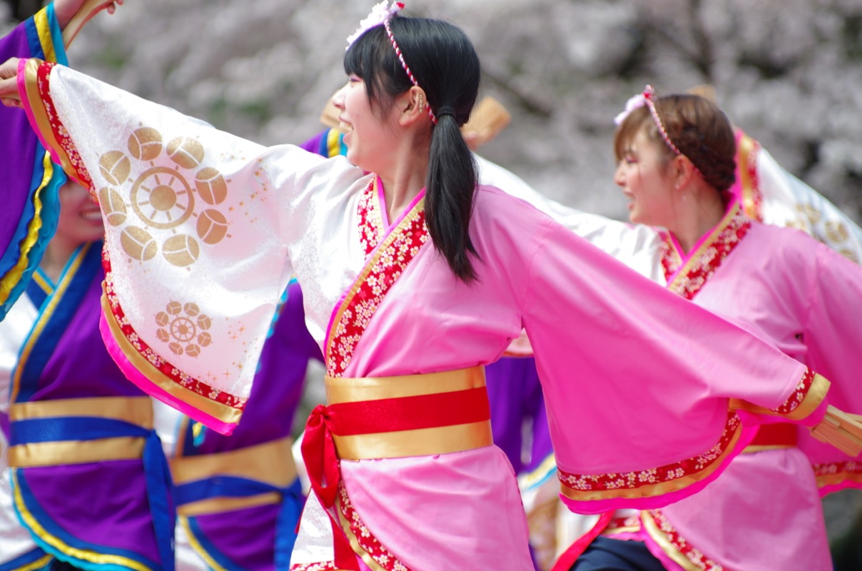 京都さくらよさこい２０１５一日目その３（同志社大学よさこいサークル「よさ朗」その２）_a0009554_22483322.jpg