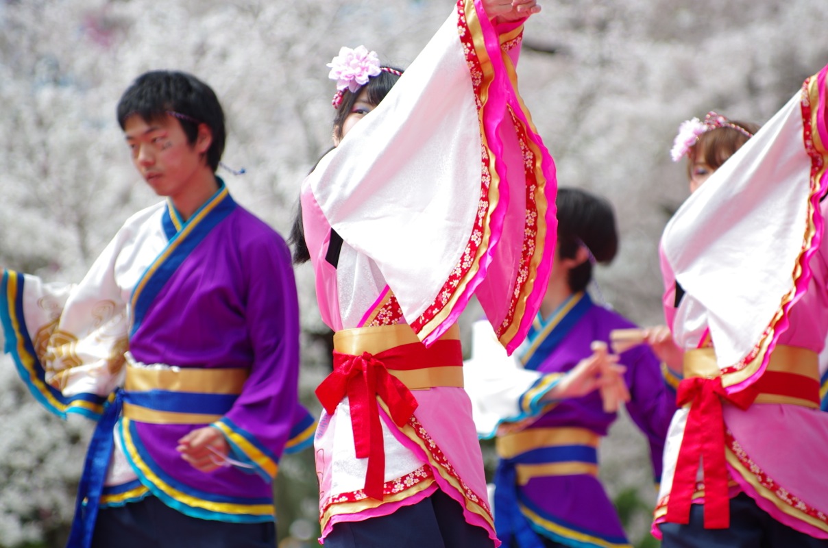 京都さくらよさこい２０１５一日目その３（同志社大学よさこいサークル「よさ朗」その２）_a0009554_2250372.jpg