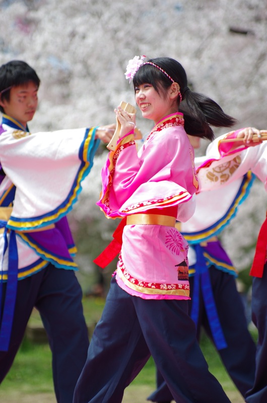 京都さくらよさこい２０１５一日目その３（同志社大学よさこいサークル「よさ朗」その２）_a0009554_2252373.jpg