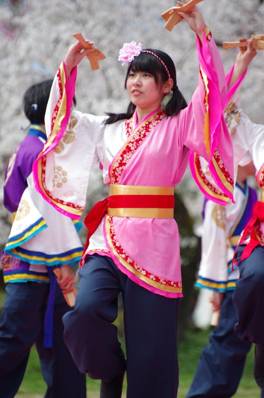 京都さくらよさこい２０１５一日目その３（同志社大学よさこいサークル「よさ朗」その２）_a0009554_22555772.jpg