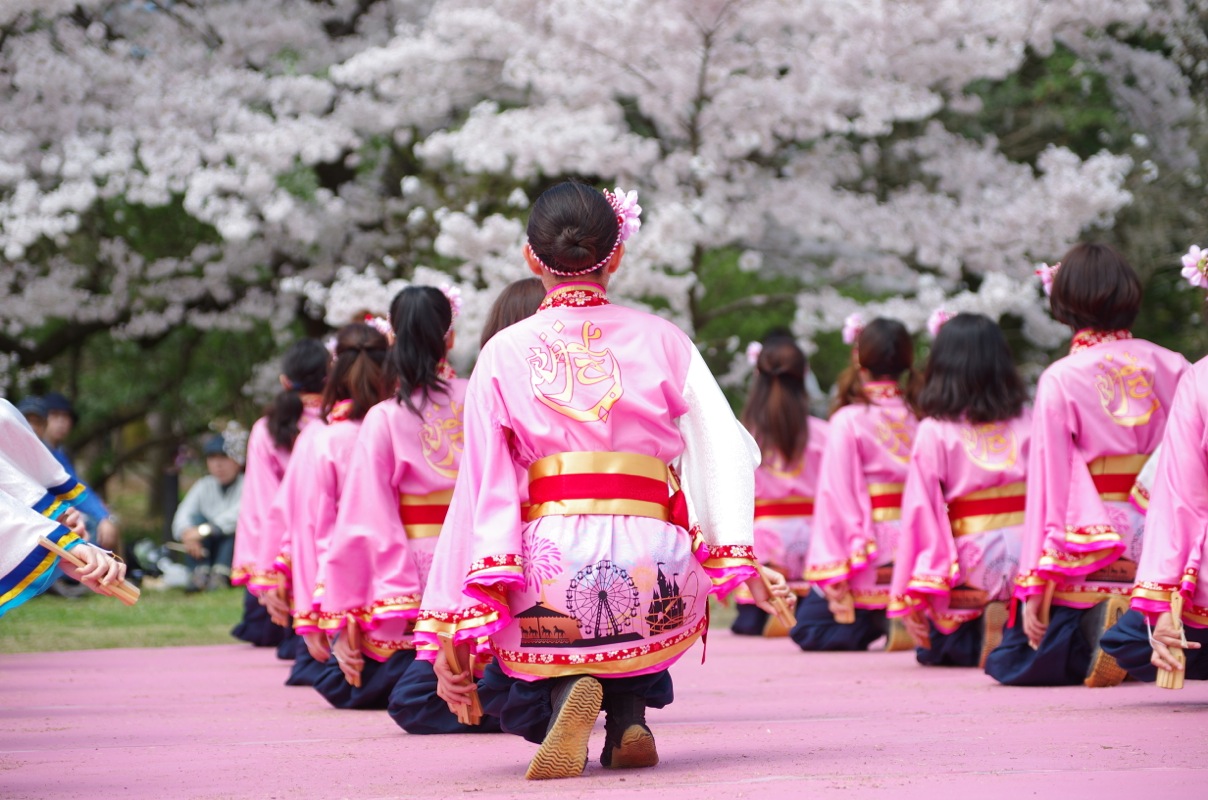 京都さくらよさこい２０１５一日目その３（同志社大学よさこいサークル「よさ朗」その２）_a0009554_22573289.jpg