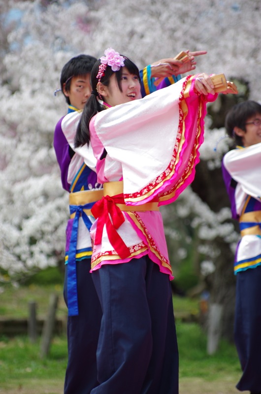 京都さくらよさこい２０１５一日目その４（同志社大学よさこいサークル「よさ朗」その３）_a0009554_23161379.jpg