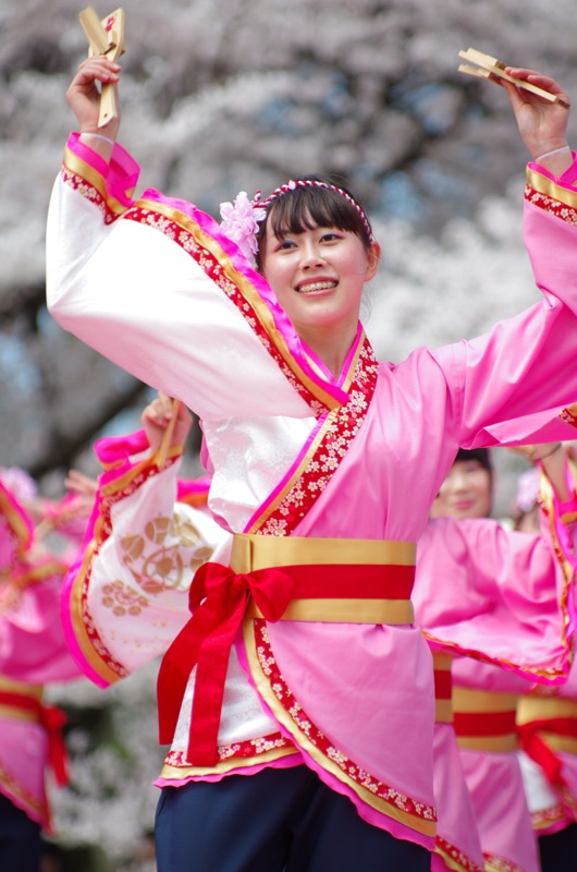 京都さくらよさこい２０１５一日目その４（同志社大学よさこいサークル「よさ朗」その３）_a0009554_2383255.jpg