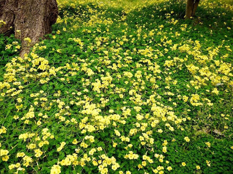 　　街なかの小公園にて_b0093754_16501518.jpg