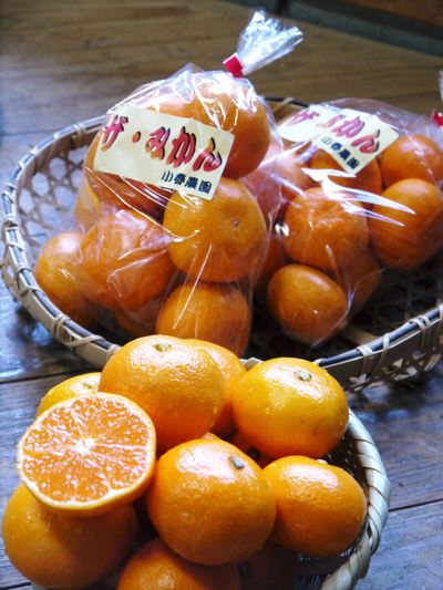 ザ・みかん 4月14日はオレンジデー!?高品質のみかんを育てるための移植作業(その1)_a0254656_1742595.jpg