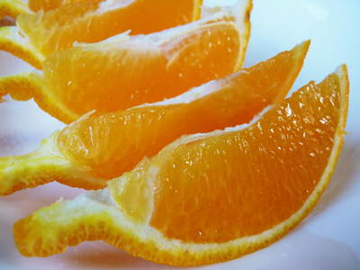 ザ・みかん　4月14日はオレンジデー!?高品質のみかんを育てるための移植作業（その１）_a0254656_20412390.jpg