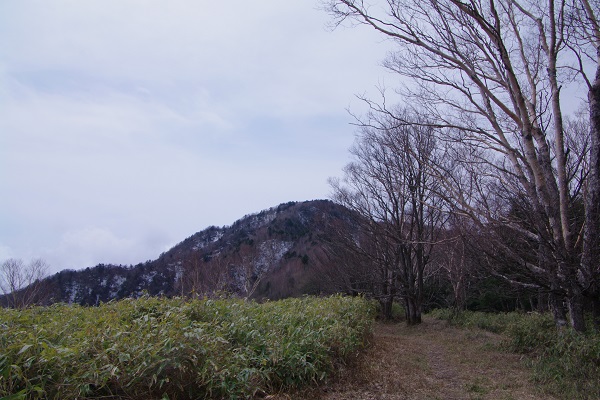 雨ヶ岳・竜ヶ岳_d0164761_11242283.jpg