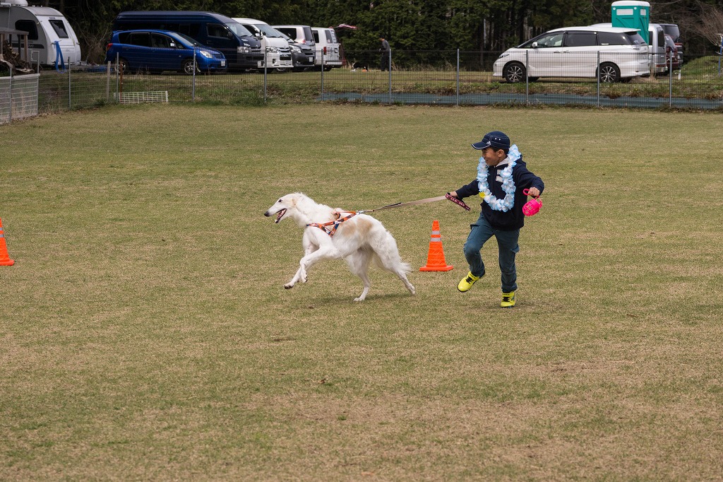 足柄CoCo　オフ会本編２_c0260264_15593388.jpg