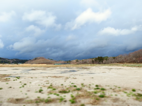 2015.4.11 福島・飯舘村　水仙と雨_b0192980_284591.jpg