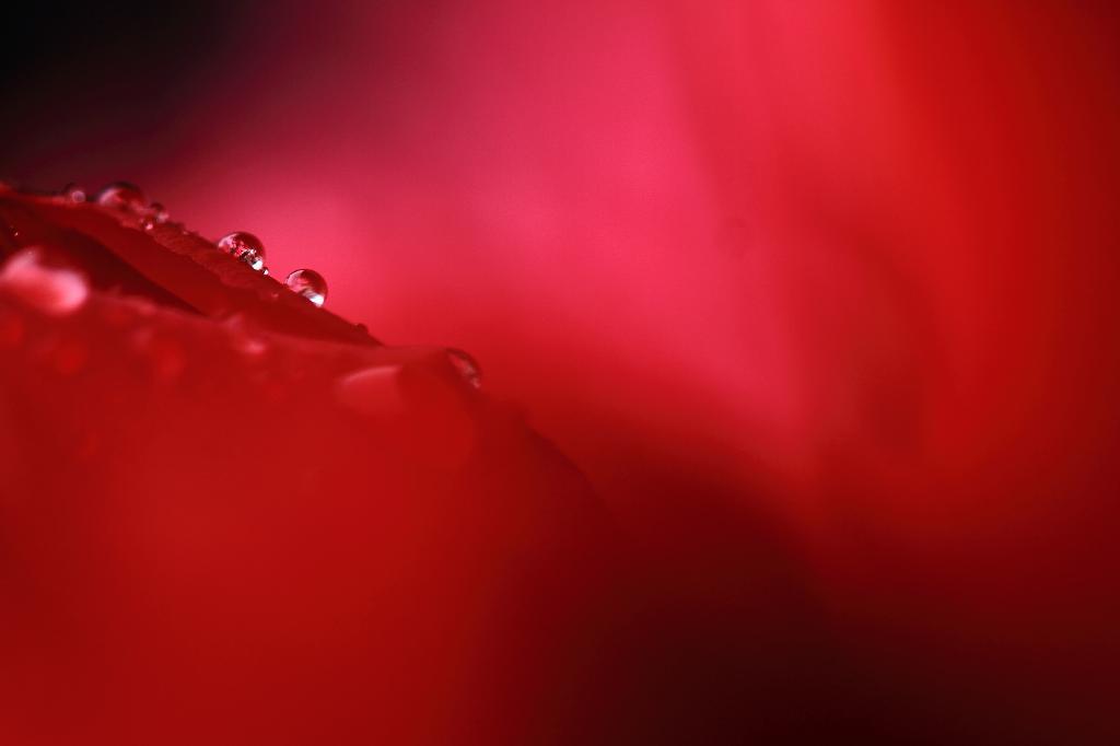 c0356480_20331738.jpg