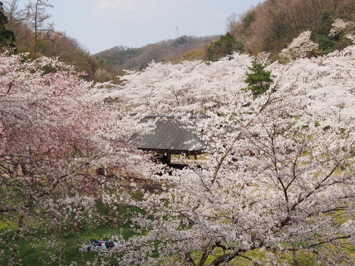 四百年の森_f0357183_15513728.jpg