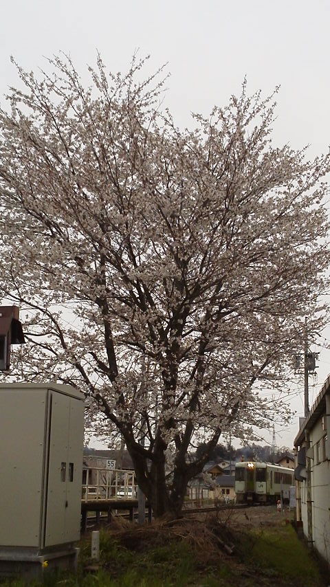 b0184584_1144156.jpg