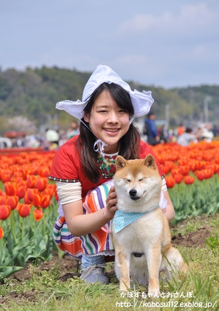 ダイスキ_a0126590_23033358.jpg