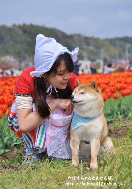 ダイスキ_a0126590_23041888.jpg