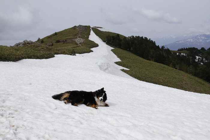 超　気持ちいい山　２_b0158390_1524446.jpg