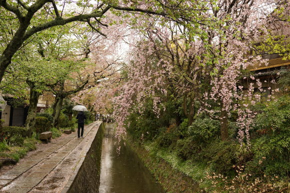 京都に行ってきました～(≧▽≦)_e0256798_07171138.jpg