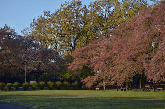 a0288500_9404.jpg