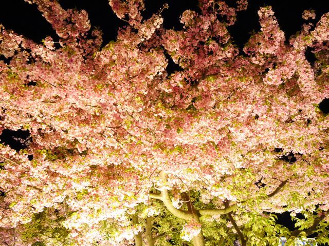 f0144003_01150165.jpg