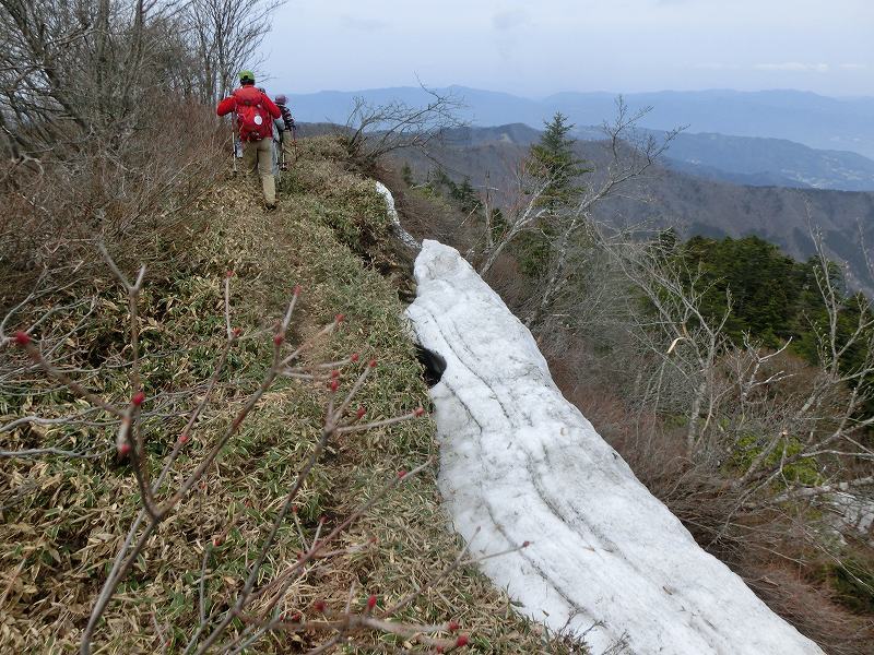 矢筈山～石堂山～白滝山～石堂神社　周遊　　徳島県_b0124306_10485852.jpg