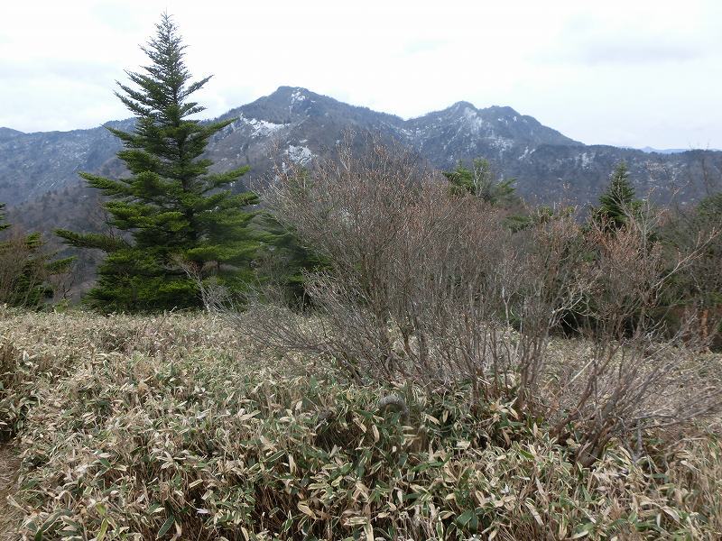 矢筈山～石堂山～白滝山～石堂神社　周遊　　徳島県_b0124306_22582531.jpg