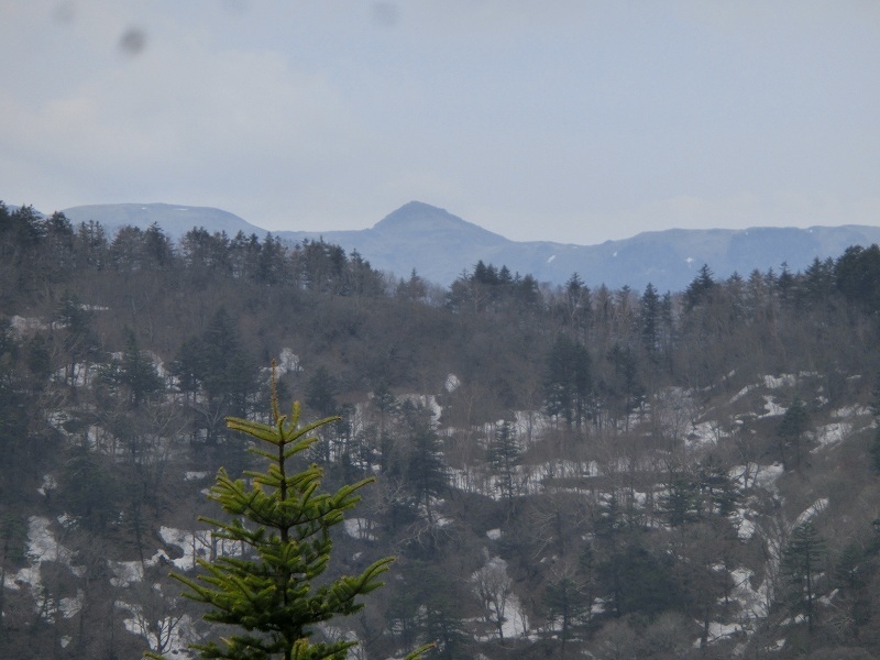 矢筈山～石堂山～白滝山～石堂神社　周遊　　徳島県_b0124306_23001574.jpg