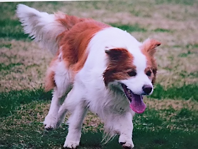 d0148408_975337.jpg