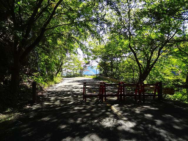 a0243317_83789.jpg