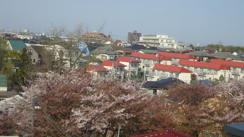 b0057924_2134562.jpg