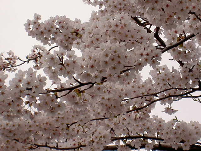 d0195024_15540053.jpg