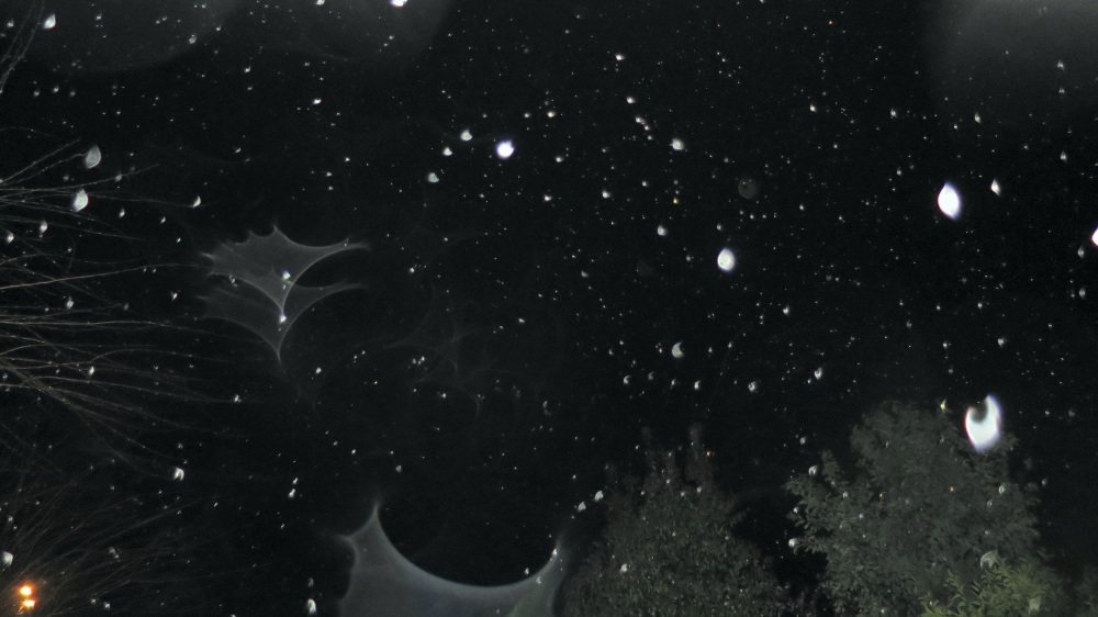 c0331825_10563384.jpg