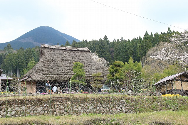 三多気桜まつり散策 (その3)_e0321325_1315749.jpg